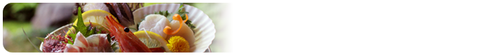 全てのプランを表示